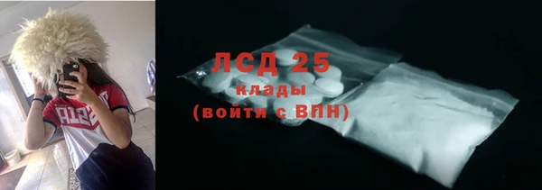 ГАЛЛЮЦИНОГЕННЫЕ ГРИБЫ Иннополис