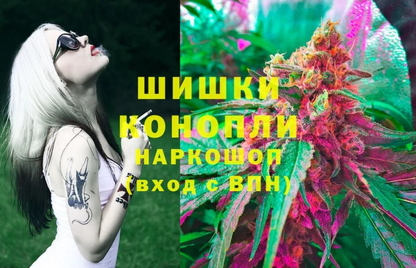тгк Аркадак