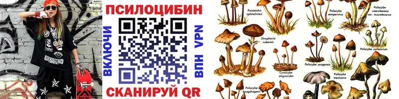 магазин    Армянск  Псилоцибиновые грибы мицелий 